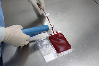  脐带血制备的热合